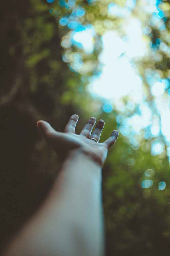 crop person outstretching hand in forest