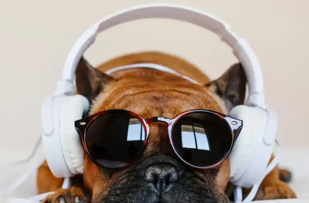 Music can calm the savage beast