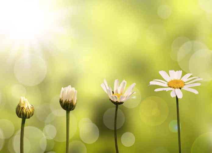 redemption and change